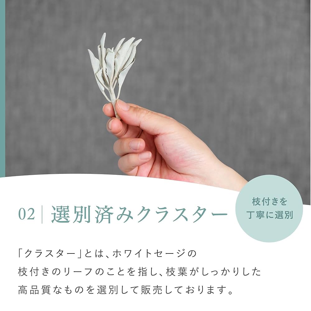 ホワイトセージ　カット枝４本 Amazon.co.jp: [LETO] ホワイトセージ 枝付き クラスター 無農薬